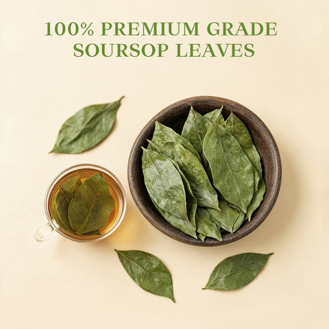 Soursop leaves tea