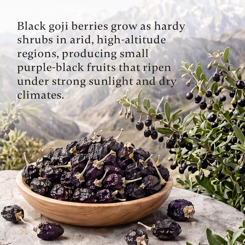 Dried Black Goji Berries Tea